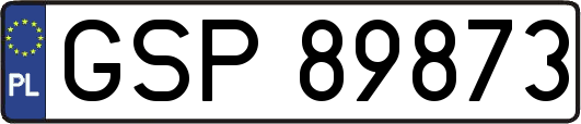 GSP89873