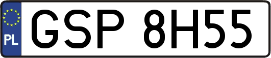 GSP8H55