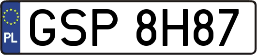 GSP8H87