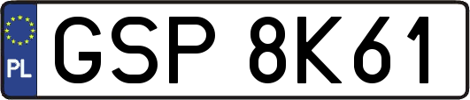 GSP8K61