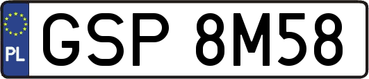 GSP8M58