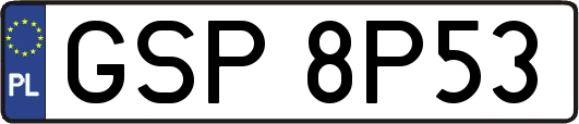 GSP8P53