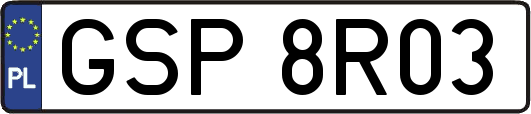 GSP8R03