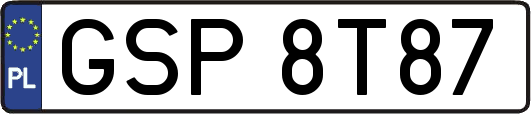 GSP8T87