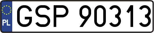 GSP90313