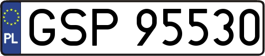 GSP95530