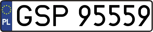 GSP95559