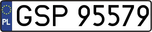 GSP95579