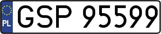 GSP95599