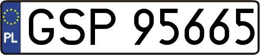 GSP95665