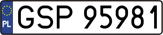 GSP95981