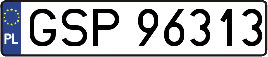 GSP96313