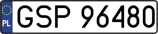 GSP96480