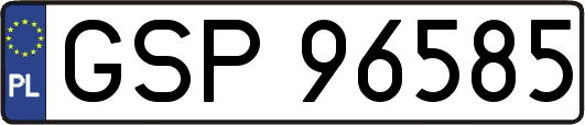 GSP96585