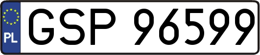 GSP96599