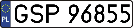 GSP96855