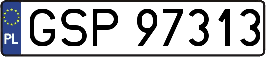 GSP97313