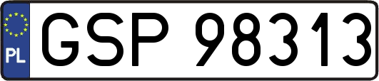 GSP98313