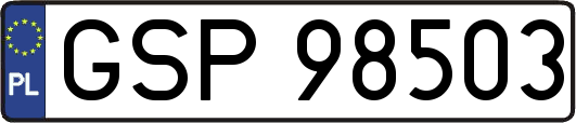 GSP98503