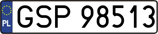 GSP98513