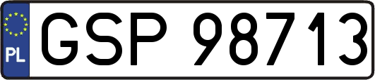 GSP98713