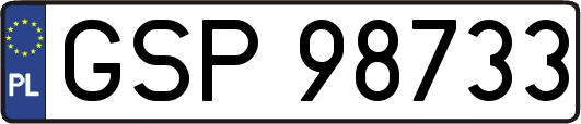 GSP98733