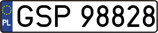 GSP98828
