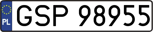 GSP98955