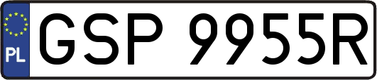 GSP9955R