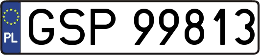 GSP99813