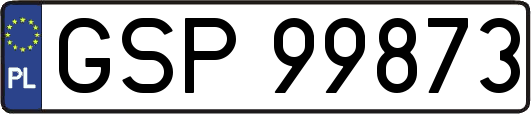 GSP99873