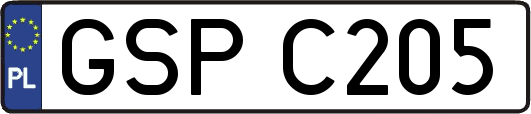 GSPC205