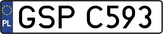 GSPC593