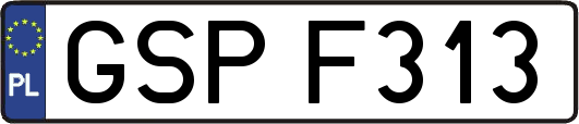 GSPF313