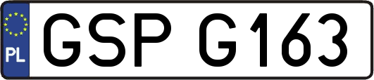 GSPG163