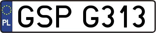 GSPG313