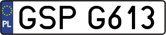 GSPG613