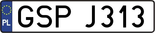 GSPJ313