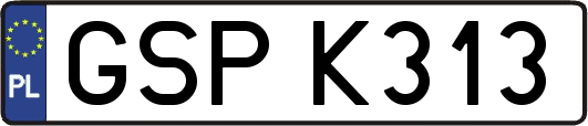 GSPK313