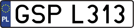 GSPL313