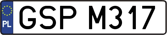 GSPM317