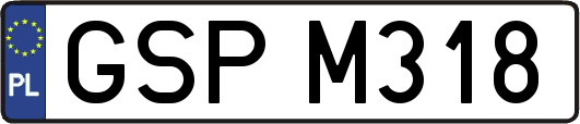 GSPM318