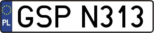 GSPN313