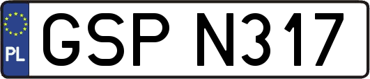 GSPN317