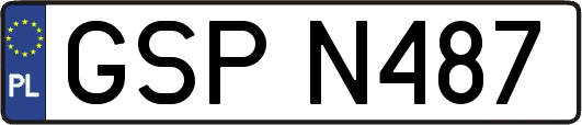 GSPN487