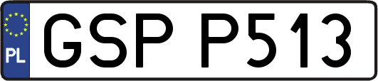 GSPP513