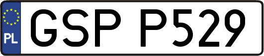 GSPP529
