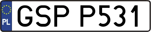 GSPP531