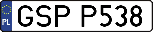 GSPP538