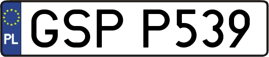 GSPP539
